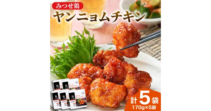 【ふるさと納税】＜宅呑みに是非！＞みつせ鶏ヤンニョムチキン170g×5袋 ヨコオフーズ/吉野ヶ里町 とりにく 鳥 鳥肉 鶏肉 鶏肉 国産 使いやすい お手軽 簡単 レトルト 便利 小分け 冷凍 料理 おかず セット 惣菜 和食[FAE123]