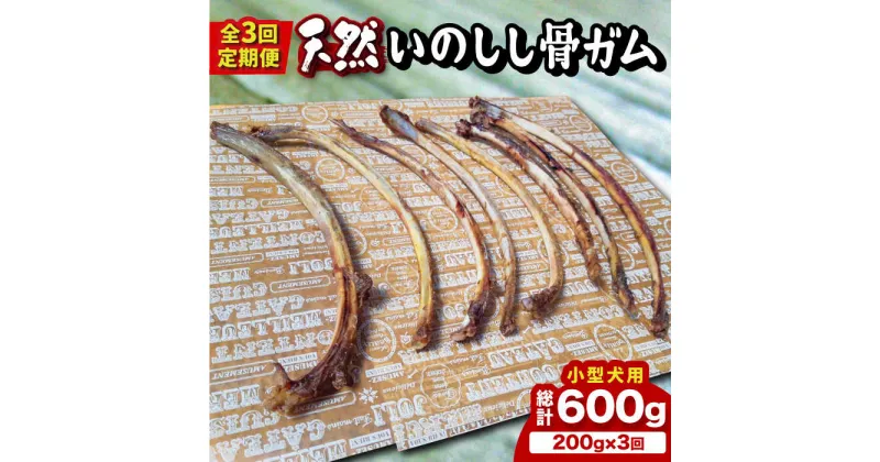 【ふるさと納税】【全3回定期便】＜小型犬用＞スモーキーな香りが食欲をそそる！天然いのしし骨ガム200g 総計600g（肋骨） 吉野ヶ里町/まちづくり会株式会社 [FBK048]