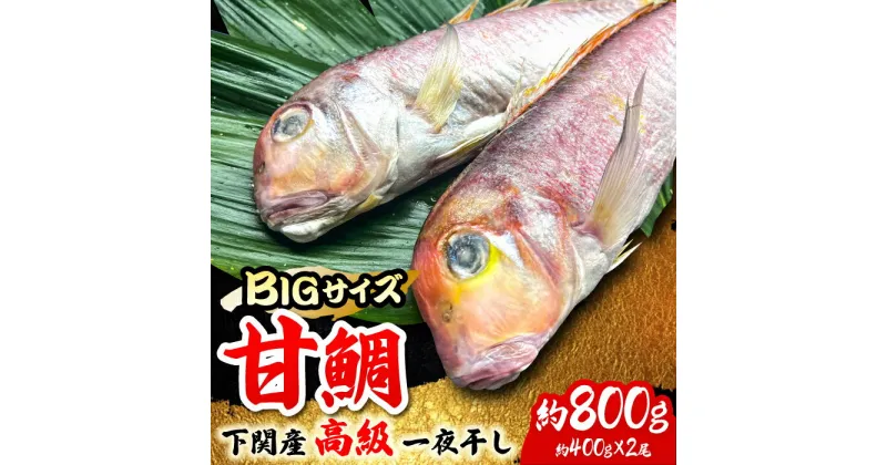 【ふるさと納税】下関産 高級 甘鯛 約800g（約400g×2尾） 干物 一夜干し たい タイ 吉野ヶ里町/やきとり紋次郎 [FCJ075]