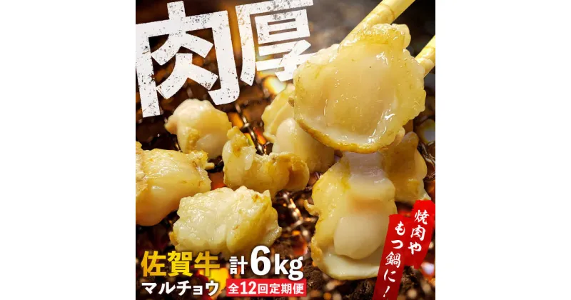 【ふるさと納税】【全12回定期便】 【脂が甘くてぷりっぷり！】佐賀牛ホルモン 焼肉用 小腸 計6kg（250g/袋）味付けなし 吉野ヶ里町/やきとり紋次郎[FCJ093]