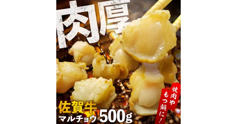 【ふるさと納税】【脂が甘くてぷりっぷり！】佐賀牛ホルモン 焼肉用 小腸 500g（250g×2）味付けなし 吉野ヶ里町/やきとり紋次郎[FCJ089]