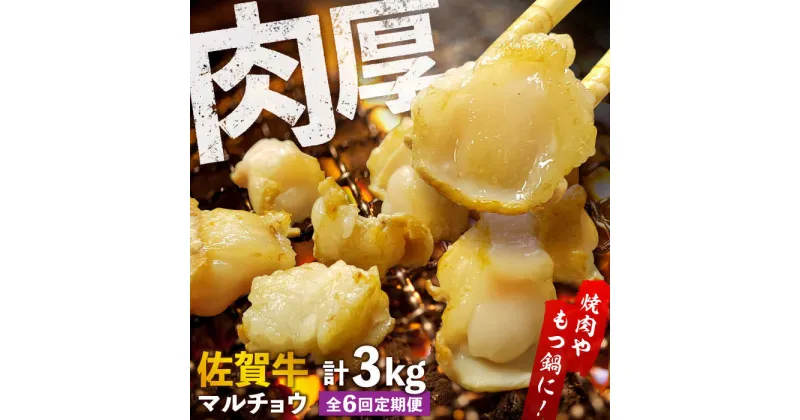 【ふるさと納税】【全6回定期便】 【脂が甘くてぷりっぷり！】佐賀牛ホルモン 焼肉用 小腸 計3kg（250g/袋）味付けなし 吉野ヶ里町/やきとり紋次郎[FCJ092]