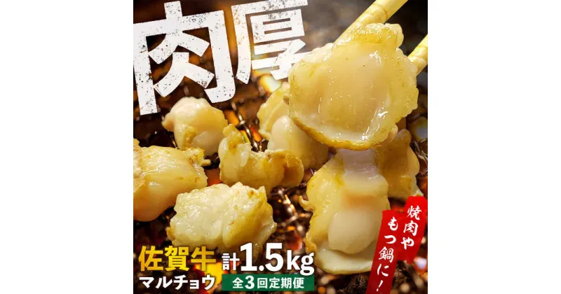 【ふるさと納税】【全3回定期便】 【脂が甘くてぷりっぷり！】佐賀牛ホルモン 焼肉用 小腸 計1.5kg（250g/袋）味付けなし 吉野ヶ里町/やきとり紋次郎[FCJ091]