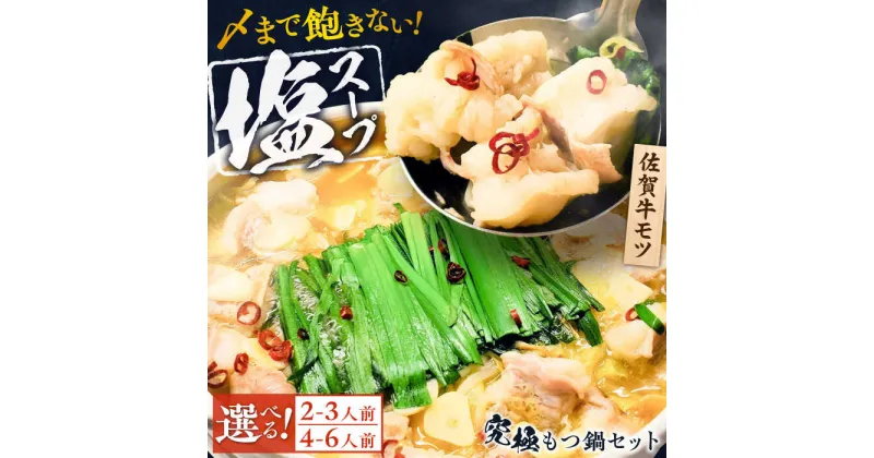 【ふるさと納税】【選べる量】何度食べても飽きない美味しさ！こだわり佐賀牛100% もつ鍋セット 500g（250g×2）/1kg(250g×4) スープ・ちゃんぽん麺付 吉野ヶ里町/やきとり紋次郎[FCJ100/FCJ087]