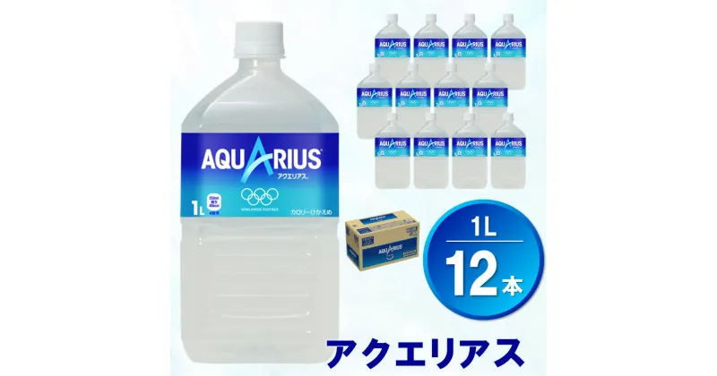 【ふるさと納税】アクエリアス 1L×12本(1ケース)【コカコーラ 熱中症対策 スポーツ飲料 スポーツドリンク 水分補給 カロリーオフ ペットボトル 健康 スッキリ ミネラル アミノ酸 クエン酸 リフレッシュ 常備 保存 買い置き】 Z2-R047003