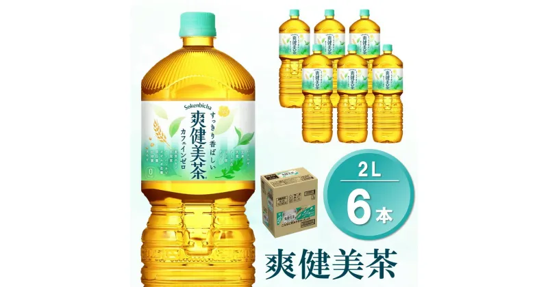 【ふるさと納税】爽健美茶 2L×6本(1ケース)【コカコーラ カフェインゼロ 香ばしい おいしい ブレンド茶 お茶 国産 ハトムギ 玄米 大麦 ドクダミ ハブ茶 チコリー 麦芽 植物素材 飲料 お徳用 ペットボトル】 Z-R047039