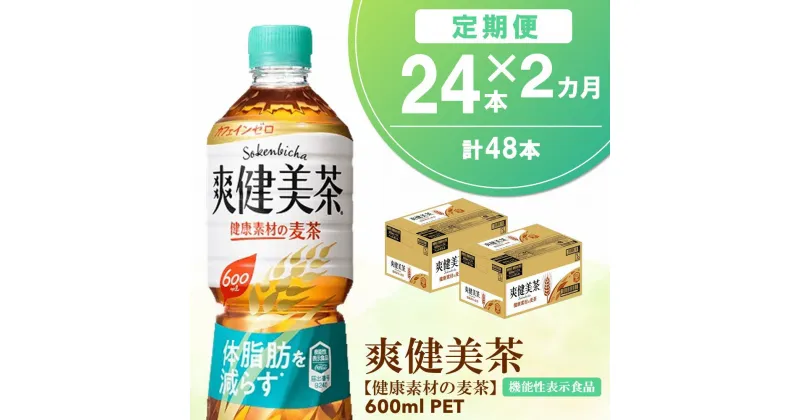 【ふるさと納税】【2カ月定期便】爽健美茶 健康素材の麦茶 600mlPET×24本(合計2ケース)【機能性表示食品】【コカコーラ ローズヒップ 定期便 脂肪 健康的 おいしい 飲みやすい ポリフェノール 機能性表示食品】 A9-R047315