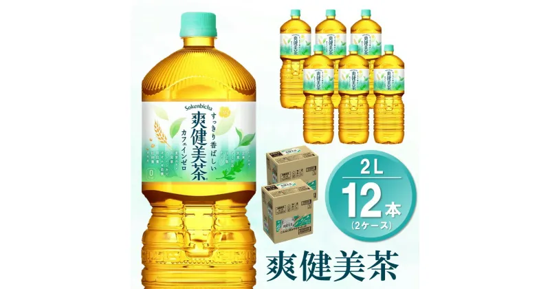 【ふるさと納税】爽健美茶 2L(2ケース)計12本【コカコーラ カフェインゼロ 香ばしい おいしい 国産 ブレンド茶 お茶 ハトムギ 玄米 月見草 大麦 ドクダミ 植物素材 飲料 お徳用 ペットボトル】 Z3-R047080