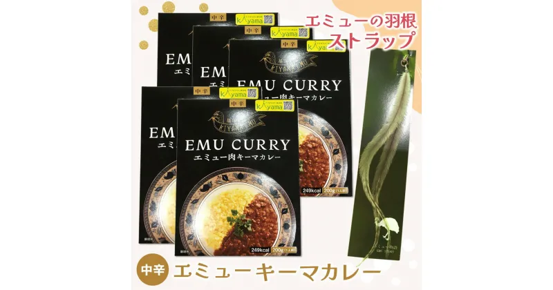 【ふるさと納税】エミューキーマカレー(中辛)・エミューの羽根ストラップ【エミュー 基山産 高タンパク 高鉄分 低カロリー ヘルシー 鉄分補給 簡単 手軽 カレー レトルト 貴重 ダイエット】 A3-R006002