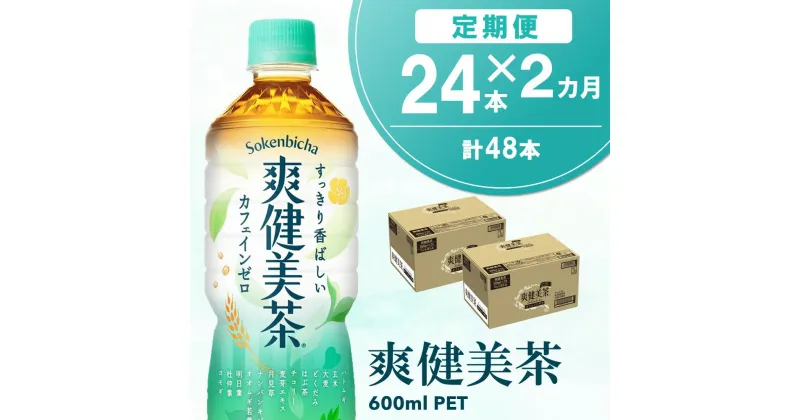 【ふるさと納税】【2カ月定期便】爽健美茶 600mlPET×24本(合計2ケース)【コカコーラ カフェインゼロ 定期便 香ばしい おいしい 国産 お茶 ハトムギ 玄米 月見草 大麦 ドクダミ 飲料 ペットボトル】 A5-R047314