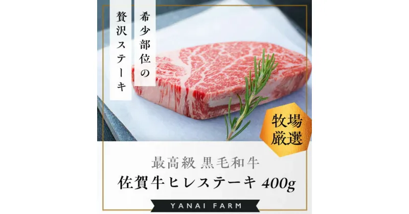 【ふるさと納税】《佐賀牛》「梁井」希少部位 ヒレステーキ 2枚 400g【佐賀牛 ヒレステーキ フィレステーキ ヒレ肉 フィレ やわらか 上質 サシ 美味しい パーティー イベント ブランド肉】 F7-R081013