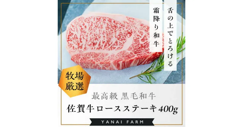 【ふるさと納税】《佐賀牛》「梁井」霜降りロースステーキ 2枚 400g【佐賀牛 霜降り肉 ロース肉 サシ ステーキ 肉汁 とろける やわらか 美味しい ブランド肉】 B-R081010