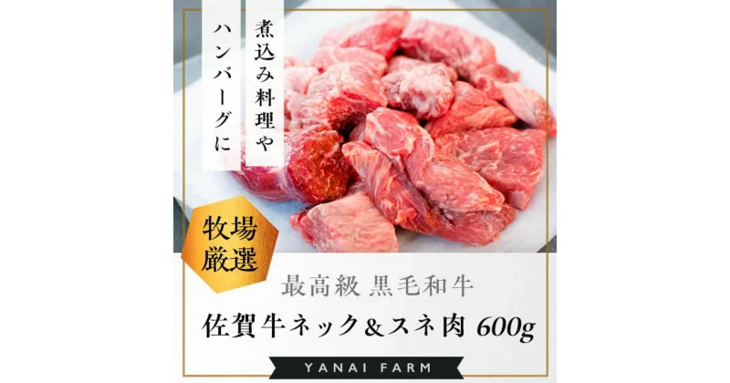 【ふるさと納税】《佐賀牛》梁井 旨味たっぷり ネック＆スネ肉 600g【佐賀牛 スジ肉 赤身 コラーゲン ぷるぷる ほろほろ トロける スネ すね 煮込み料理 カレー シチュー 美味しい ブランド肉】 A3-R081005