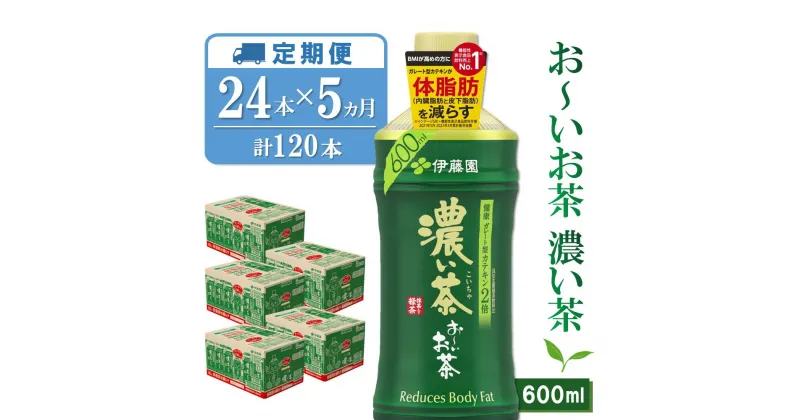 【ふるさと納税】【5か月定期便】おーいお茶濃い茶 600ml×24本(合計5ケース)【伊藤園 お茶 緑茶 濃い 渋み まとめ買い 箱買い ケース買い カテキン 2倍 体脂肪】D2-R071373