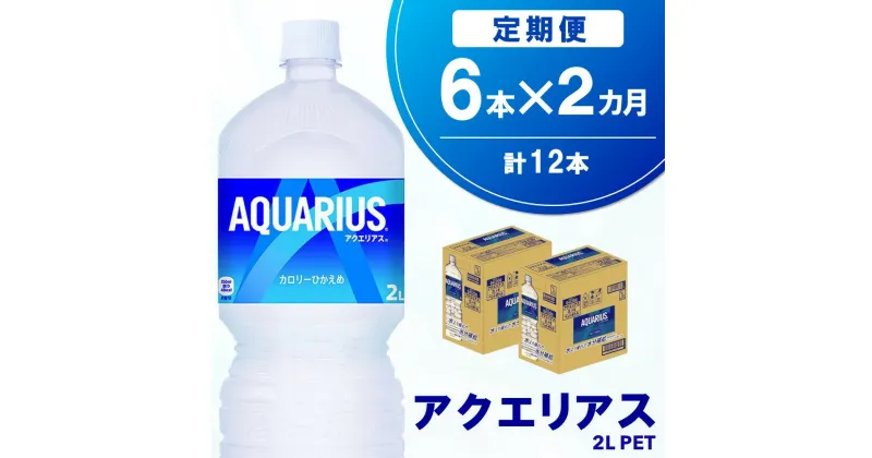 【ふるさと納税】【2か月定期便】アクエリアス PET 2L (6本×2回)【アクエリ スポーツ飲料 夏バテ予防 水分補給 2L 2リットル ペットボトル ペット スポーツ イベント】A1-R090346