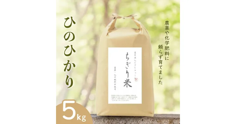 【ふるさと納税】【令和6年新米・先行受付】ひのひかり ちぎり米 5kg【佐賀県産 米 コメ ヒノヒカリ 夢しずく 精米 白米】A5-R091001