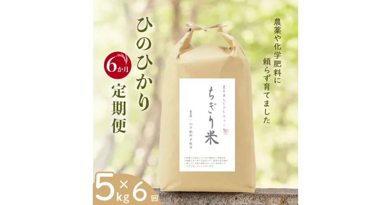 【ふるさと納税】【令和6年新米・先行受付】《6か月定期便》無農薬米 ひのひかり ちぎり米 5kg×6回【佐賀県産 米 コメ ヒノヒカリ 夢しずく 精米 白米】I2-R091301