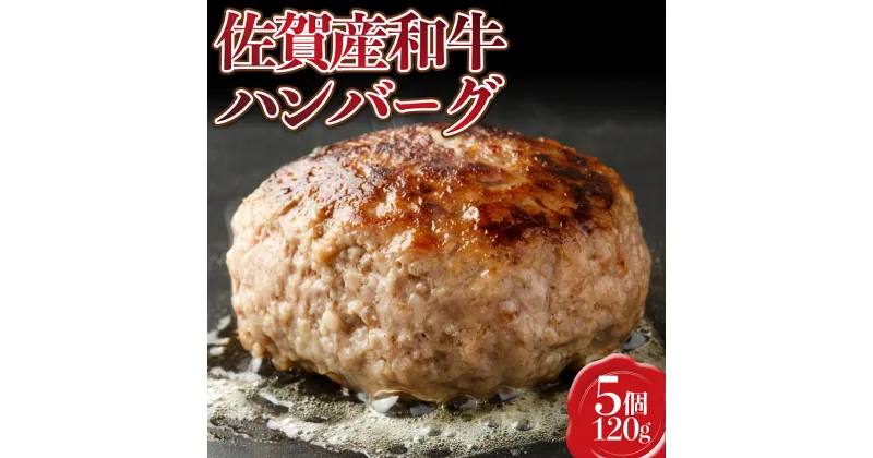 【ふるさと納税】【佐賀産和牛】ハンバーグ120g×5個