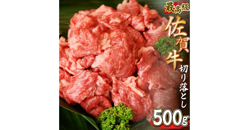 【ふるさと納税】【佐賀牛】切り落とし500g