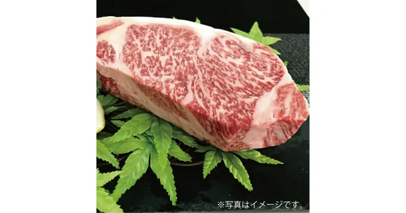 【ふるさと納税】【佐賀牛】ロースブロック（タタキ・ローストビーフ・焼肉等）500g