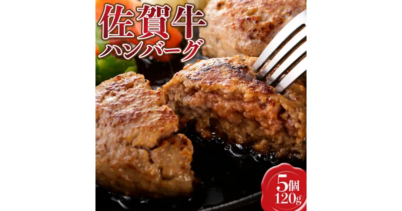 【ふるさと納税】【佐賀牛】ハンバーグ120g×5個 贈り物 ギフト プレゼント