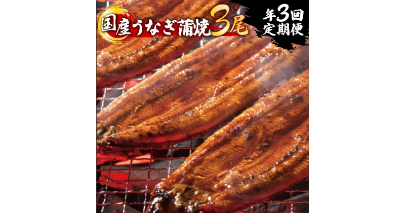 【ふるさと納税】うなぎ蒲焼 3尾セット600g以上(3回定期便) H-292 3ヶ月 毎月お届け 国産 鰻