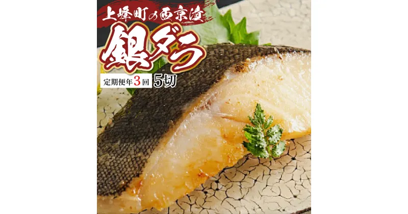 【ふるさと納税】熟練の味 西京漬け(銀ダラ) 5切 (定期便年3回) M-43