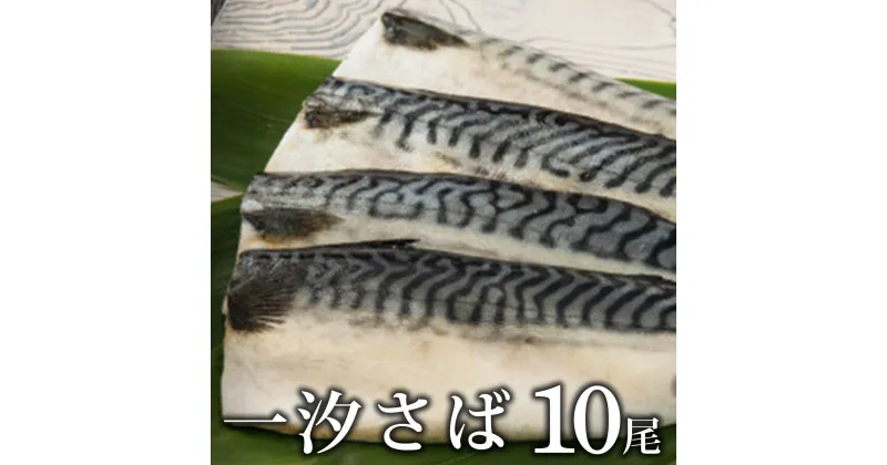 【ふるさと納税】【最短7営業日以内出荷】一汐さば 10枚セット おろし大根付き B-931