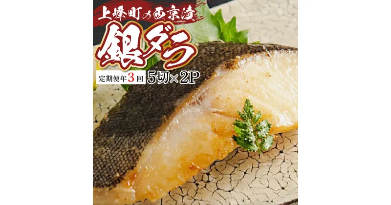 【ふるさと納税】《定期便3回》熟練の味 西京漬け(銀ダラ) 5切×2 タラ 上峰 佐賀