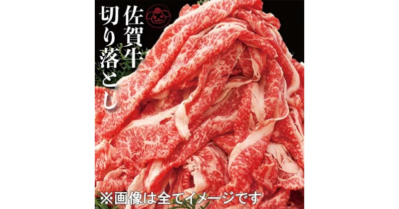 【ふるさと納税】 佐賀牛 豪華 800g 切落し【認定】オススメ！ 人気！（BG049）