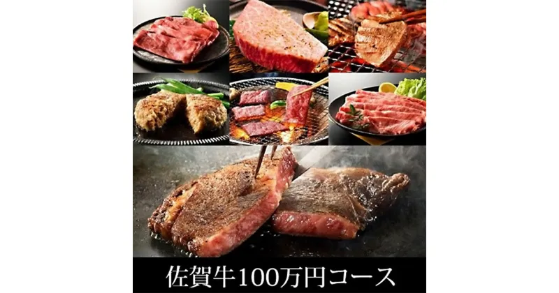 【ふるさと納税】訳あり　定期便　100万コース（佐賀牛サーロインステーキ、味付け厚切り牛タン、味付けホルモン、佐賀牛ハンバーグ等々、贅沢12回定期便）（BN047）