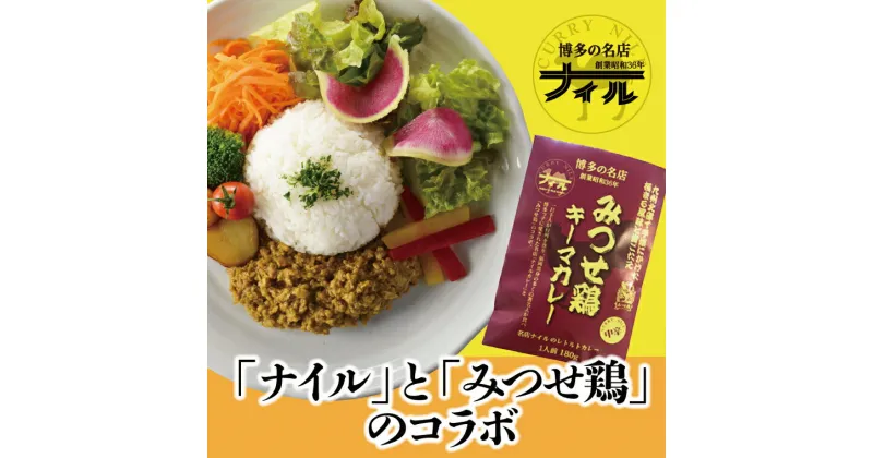 【ふるさと納税】博多の名店ナイル　みつせ鶏キーマカレー10パックセット（DR002）