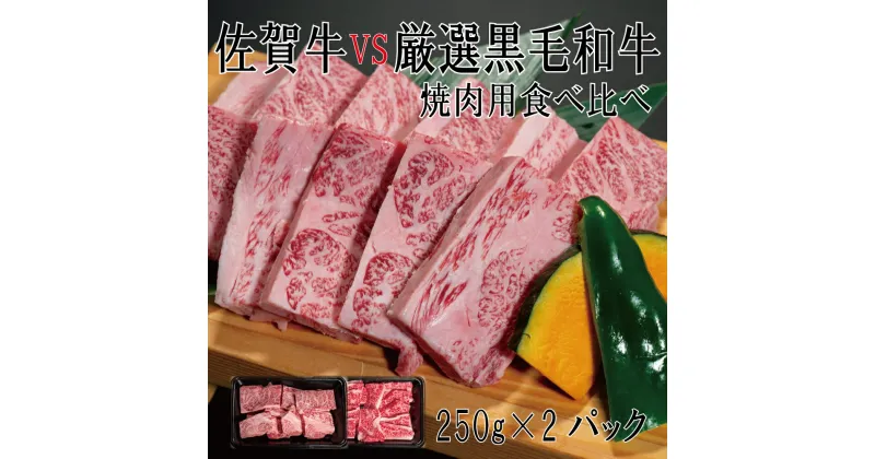 【ふるさと納税】佐賀牛×厳選黒毛和牛　焼肉用食べ比べ250g×2（DX033）