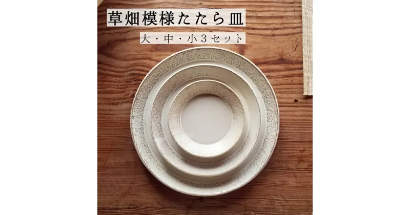 【ふるさと納税】草畑模様たたら皿（大・中・小3セット）窯元 陶器 食器 陶芸 白石焼 作家（CZ001）