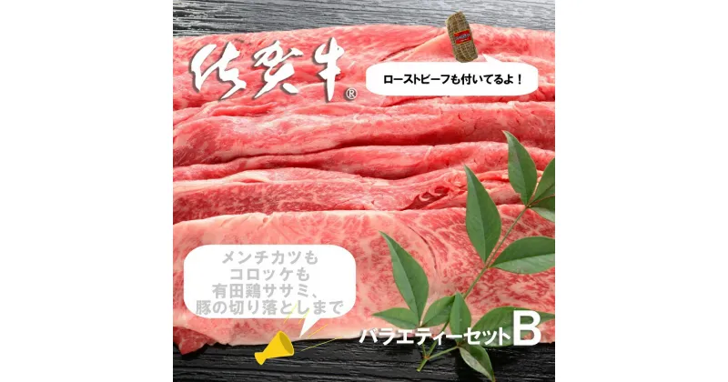 【ふるさと納税】【新生活応援】佐賀のお肉バラエティセットB（FD006）