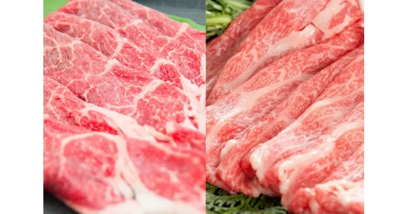 【ふるさと納税】佐賀牛食べ比べセット（カタ肉270gモモ肉250g）（EN009）