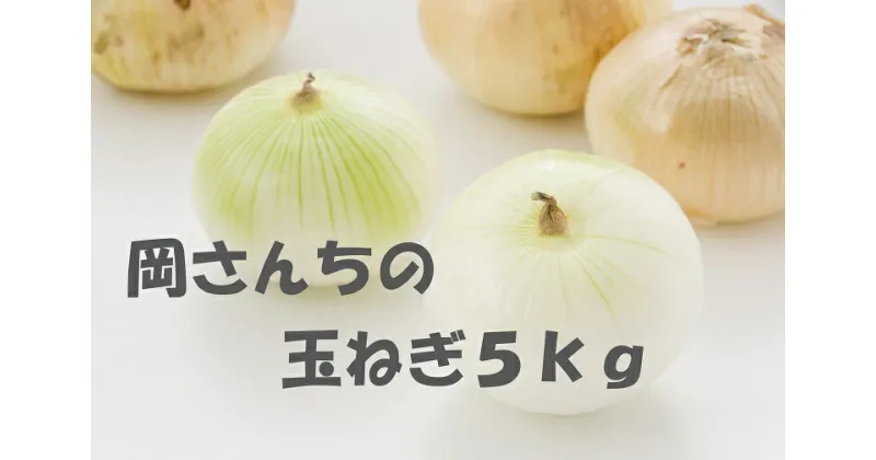 【ふるさと納税】佐賀県みやき町岡さんちのたまねぎ5kg 「2L、3Lサイズ」 (BE012)