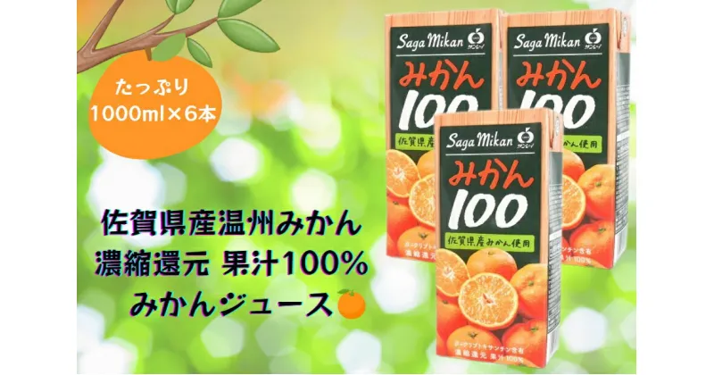 【ふるさと納税】 【みかん100　6本】佐賀県産温州みかん みかんジュース 濃縮還元 国産 果汁100％ 1000ml 1L キャップ付き（BJ014）