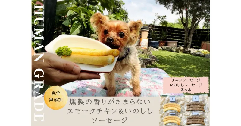 【ふるさと納税】犬の無添加おかず☆燻製の香りがたまらないスモークチキン＆いのししソーセージ（FB019）