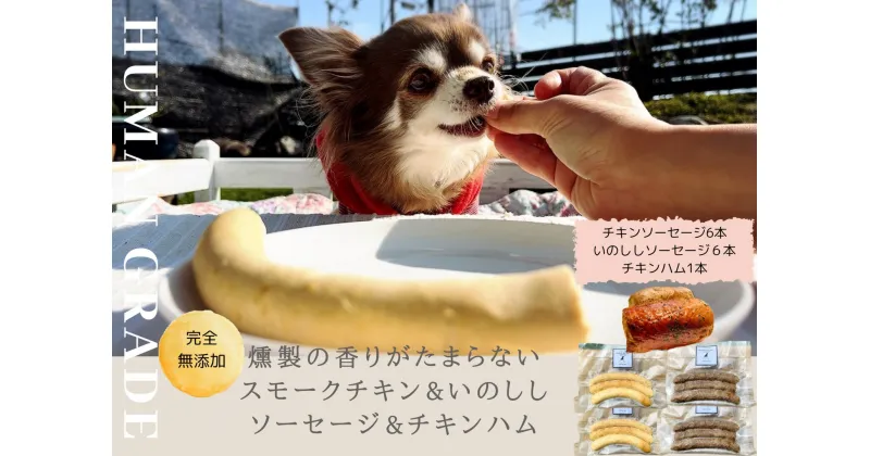 【ふるさと納税】犬の無添加おかず☆燻製の香りがたまらないスモークチキン＆いのししソーセージ＆スモークチキンハム（FB020）