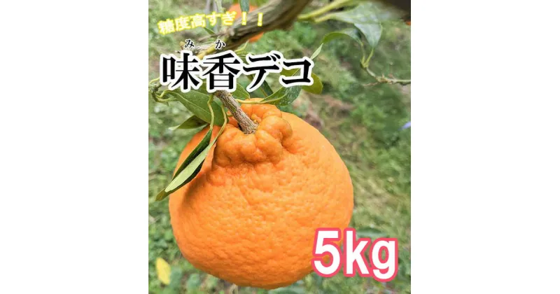 【ふるさと納税】味香デコ 5kg 糖度高すぎッ！14度以上 不知火 みかん　柑橘 フレッシュ 限定　くだもの フルーツ　ジューシー（DG019）