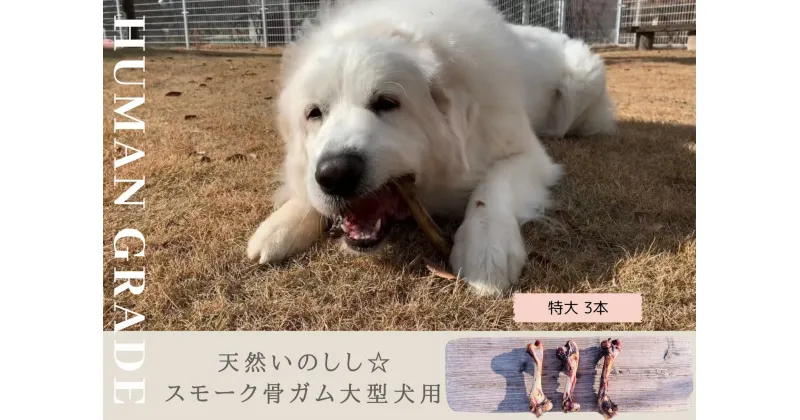 【ふるさと納税】大型犬向け☆天然いのししのスモーク骨ガム3本（FB142）