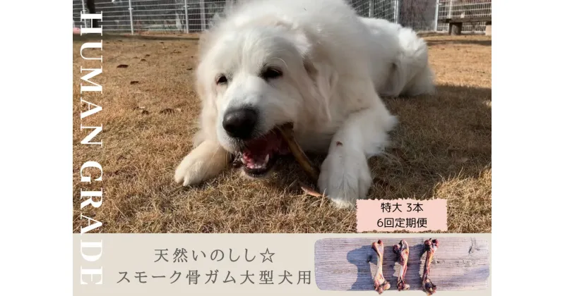 【ふるさと納税】大型犬向け☆天然いのししのスモーク骨ガム3本【定期便】全6回（FB143）