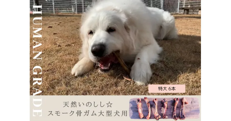 【ふるさと納税】大型犬向け☆天然いのししのスモーク骨ガム6本（FB055）