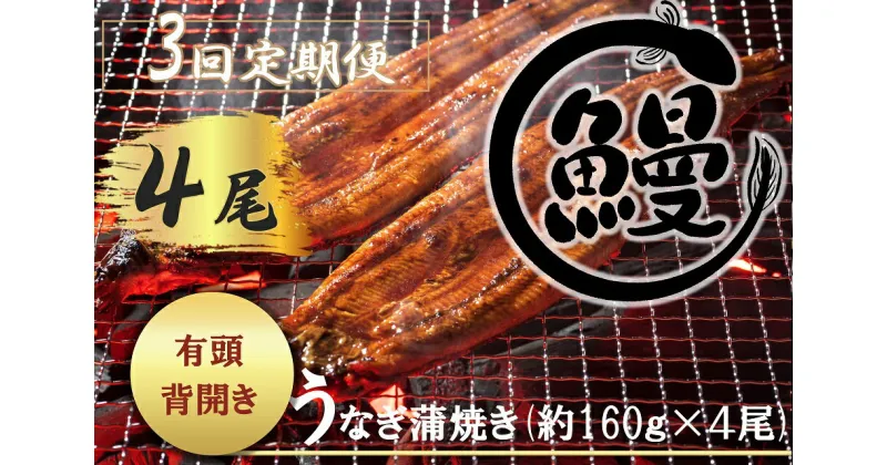 【ふるさと納税】【3回定期便】肉厚で脂が乗ったふっくらうなぎ蒲焼4尾　有頭鰻”当社秘伝のたれ”仕込み 1尾あたり約160g前後×4尾（合計約600g以上）たれ・山椒セット（FK009）