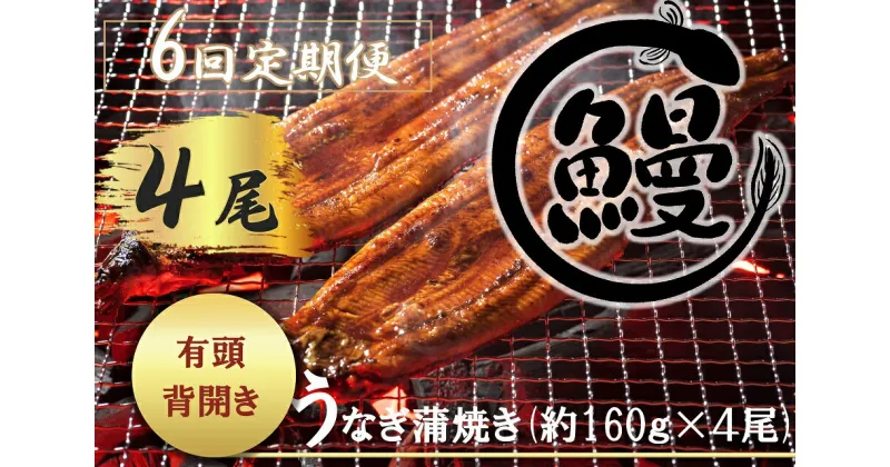 【ふるさと納税】【6回定期便】肉厚で脂が乗ったふっくらうなぎ蒲焼4尾　有頭鰻”当社秘伝のたれ”仕込み 1尾あたり約160g前後×4尾（合計約600g以上）たれ・山椒セット（FK010）