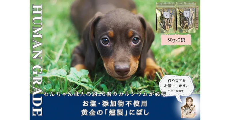 【ふるさと納税】犬と猫の無添加おやつ☆お塩不使用☆黄金の燻製にぼし（FB061）