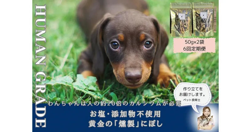 【ふるさと納税】犬と猫の無添加おやつ☆お塩不使用☆黄金の燻製にぼし【6回定期便】（FB064）