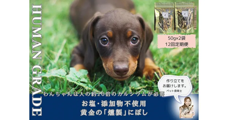 【ふるさと納税】犬と猫の無添加おやつ☆お塩不使用☆黄金の燻製にぼし【12回定期便】（FB065）