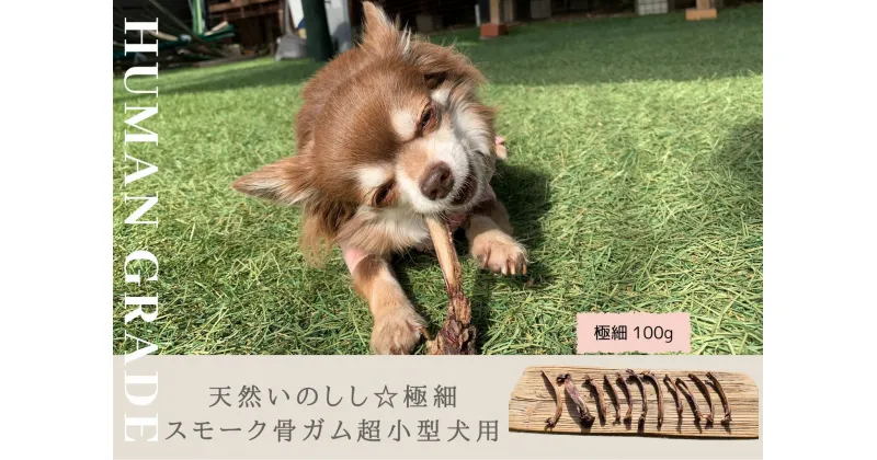 【ふるさと納税】超小型犬向け☆天然いのししのスモーク骨ガム100g（FB077）